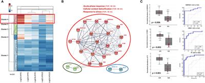 Urine SERPINC1/ORM1 as biomarkers for early detection of lupus nephritis in MRL-lpr mice